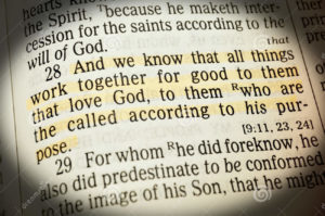 Highlighted Bible verse in Bible Romans 8:28: And we know that all things work together for good to them who love God, to them who are the called according to His purpose