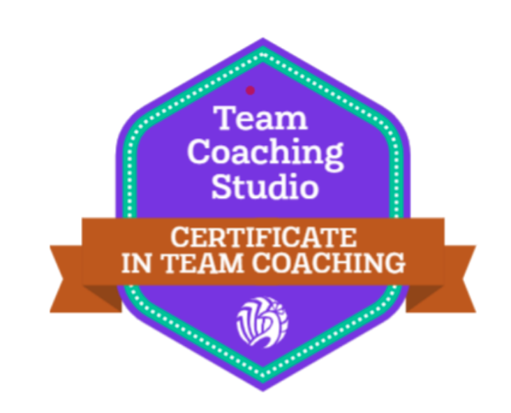 Team Coaching Studio Certificate in Team Coaching