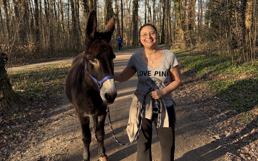 A donkey named Balthazar… and your weekly poem on SERENDIPITY