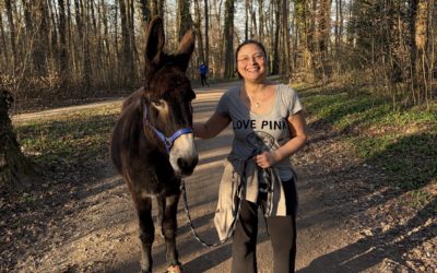 A donkey named Balthazar… and your weekly poem on SERENDIPITY