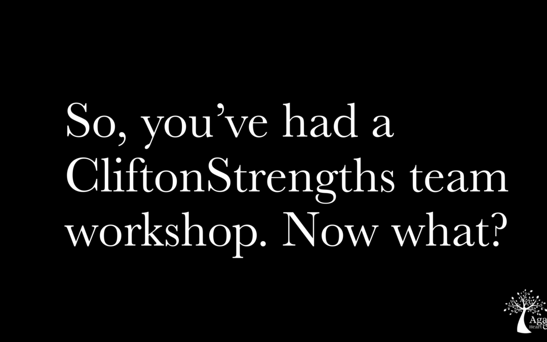 Part 2: So, you’ve had a CliftonStrengths team workshop. Now what?