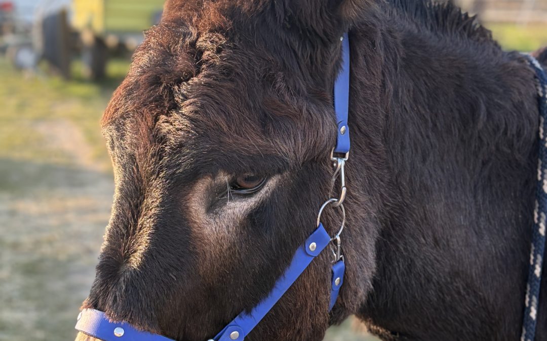 “We’re not here to be quiet”—Your weekly poem on being REAL