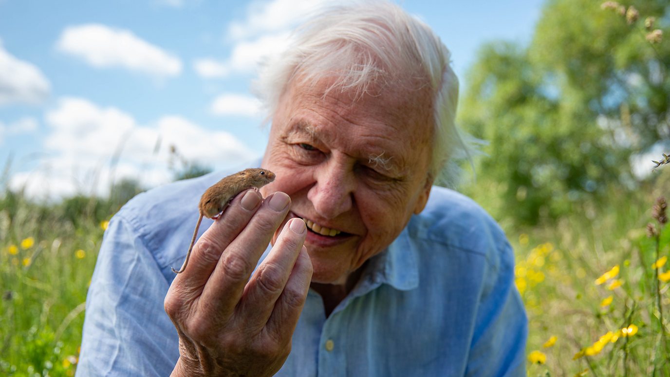 Sir David Attenborough