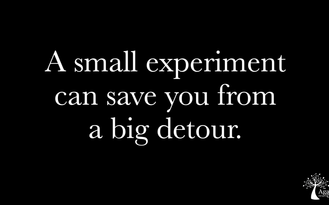 Career experiment: How I discovered my dream job was not for me