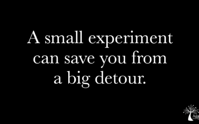 Career experiment: How I discovered my dream job was not for me
